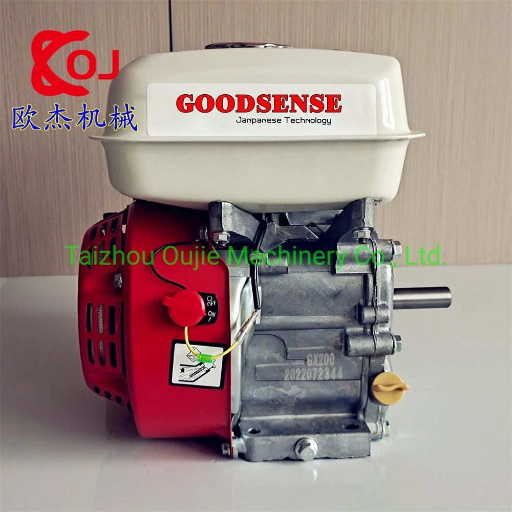 6.5HP Gx200 Gasoline Engine with Pulley Hot Selling