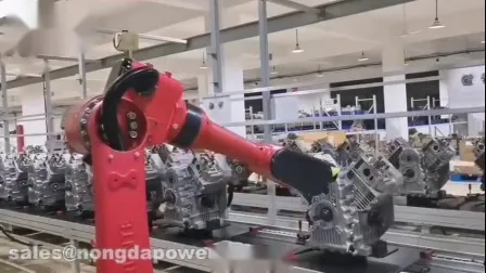 Dp20 Dp30 Dp40 Dp60 2 3 4 6 인치 농업 관개 디젤 워터 펌프