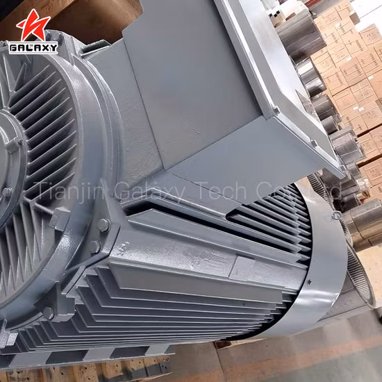저렴한 가격의 낮은 Rpm AC 영구 자석 발전기
